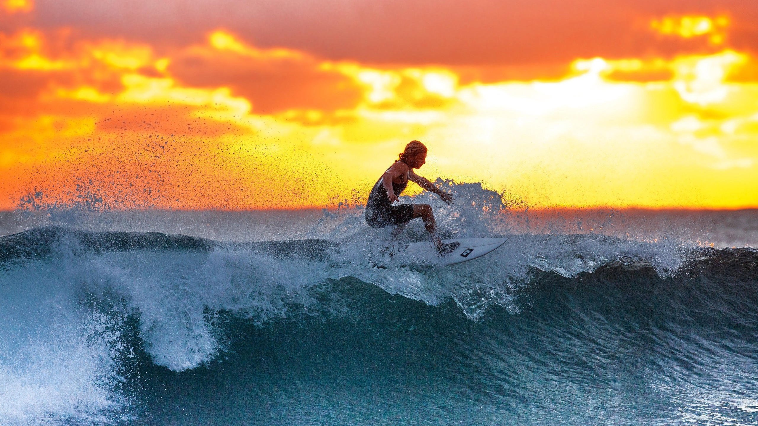 掘金完封公牛，关键一役中约基奇三分雨不断，掘金会退役约基奇的球衣